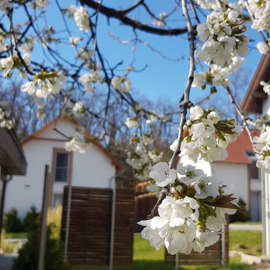 Kenese-Voelgye Villahotel Balatonkenese Exteriér fotografie